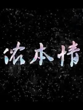 侬本情 第2集