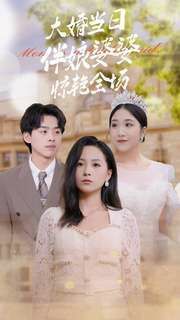 大婚当日伴娘婆婆惊艳全场 第1-20集