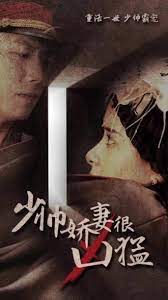 少帅娇妻很凶猛 41-60集