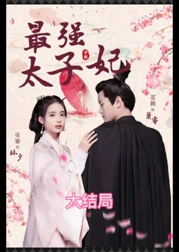 最强太子妃 21-40集