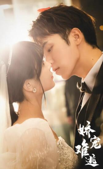 娇妻难逃 61-80集(大结局)